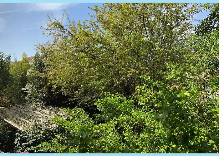 La Bulle Dans Le Palmier Hotel Toulouse